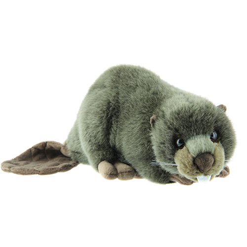 Bäver, 25cm