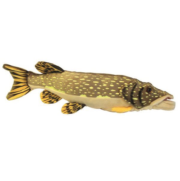 Gädda, 44cm