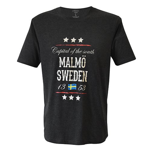 T-shirt FROST Capital Malmö m.grå, VUXEN
